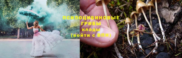дурь Алзамай